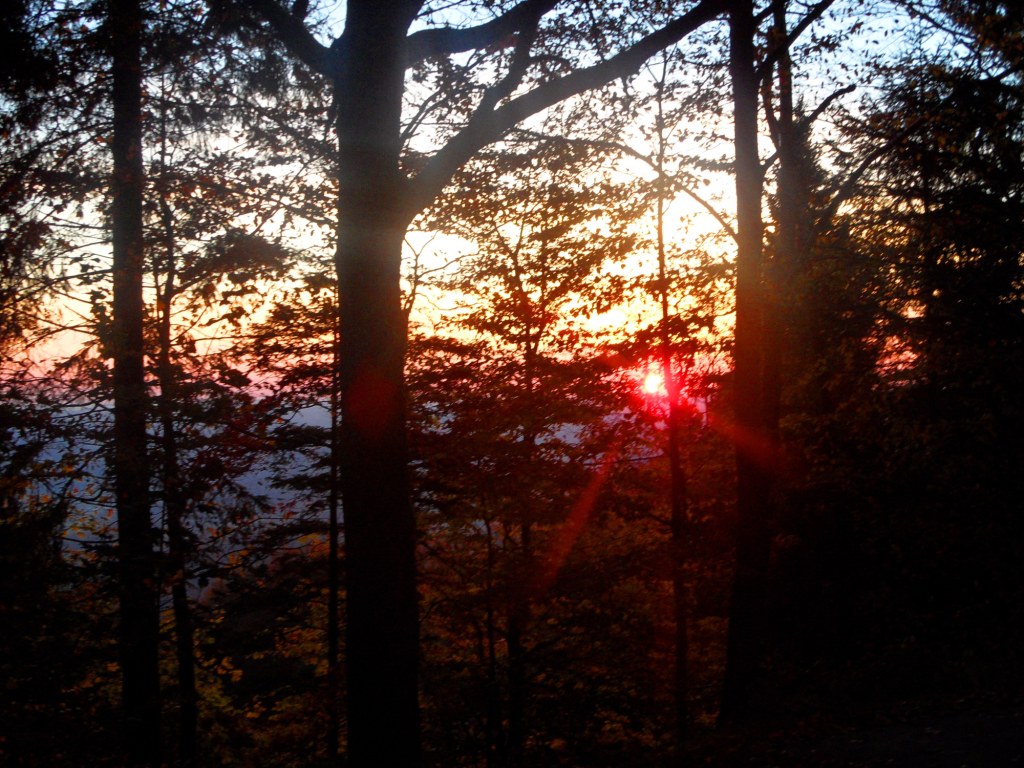 Abendsonne im bayerischen Wald